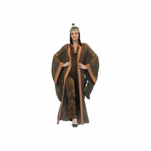 Orange Brown ladies Dress